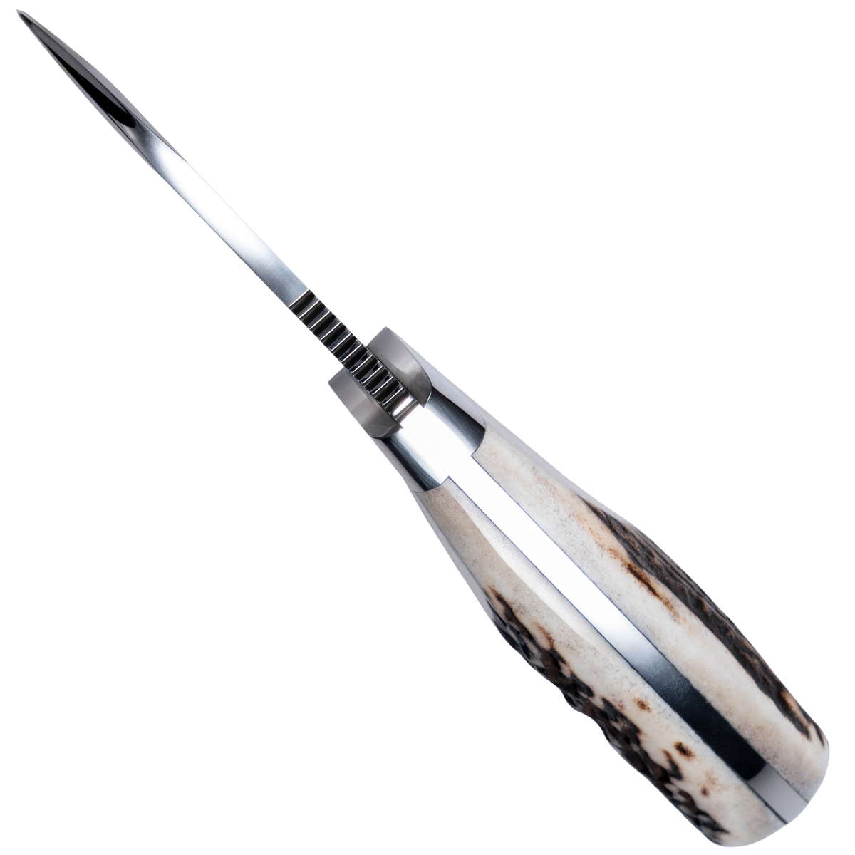 Cudeman 288 Ciervo