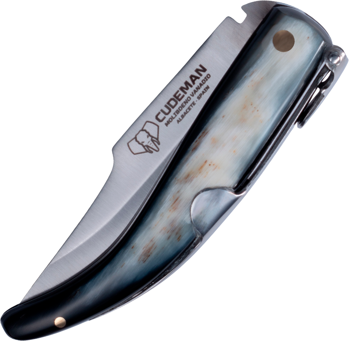 Cudeman Albaceteña Asta de toro